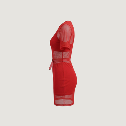 Mesh Mini Dress Set..