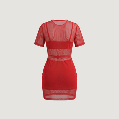 Mesh Mini Dress Set..