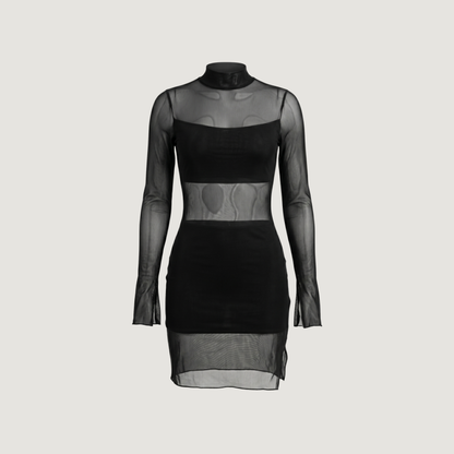 Mesh Dress with Spandex Fit..