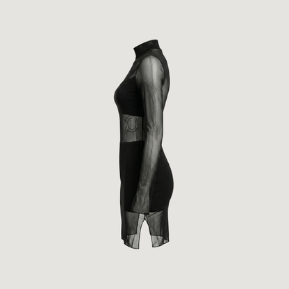 Mesh Dress with Spandex Fit..