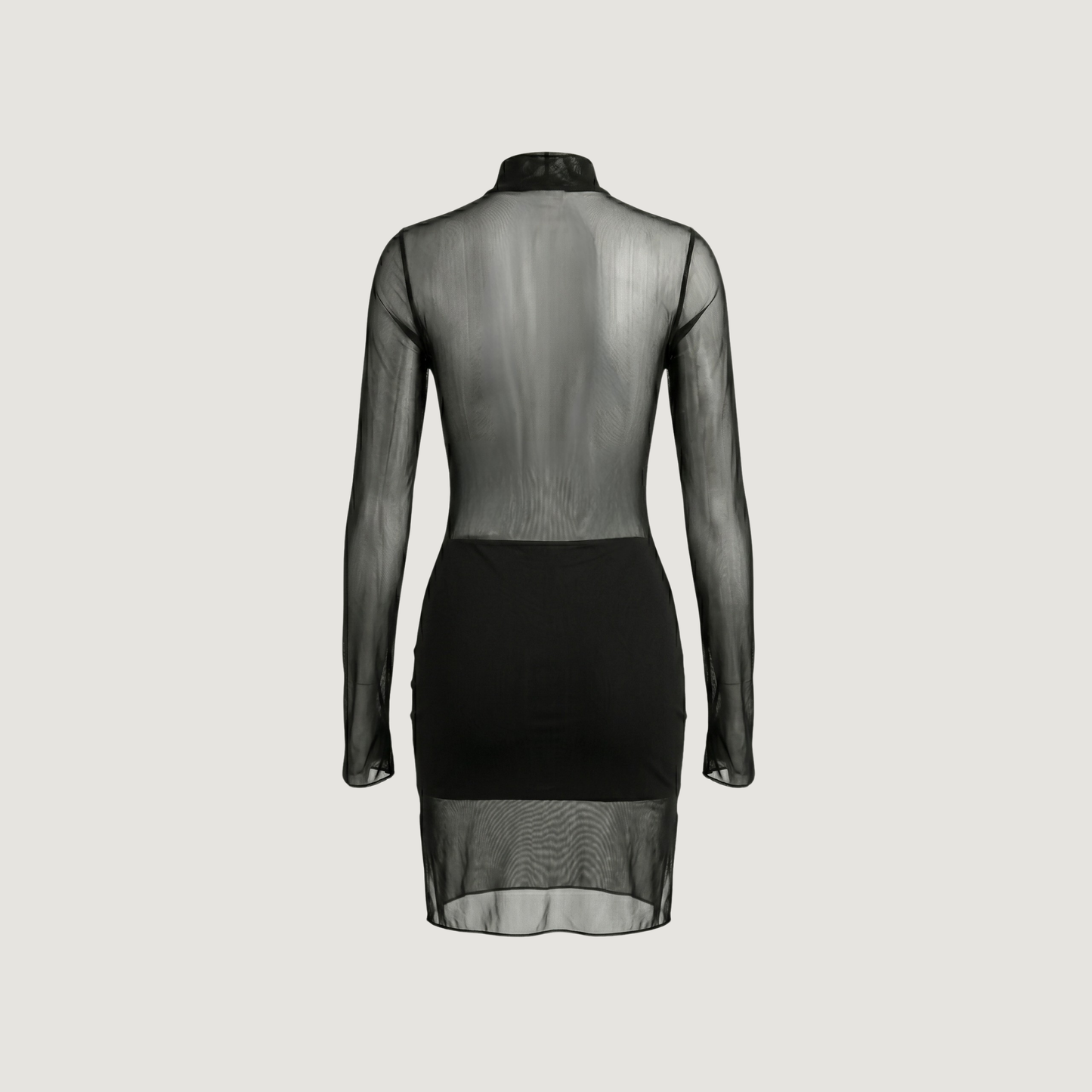 Mesh Dress with Spandex Fit..
