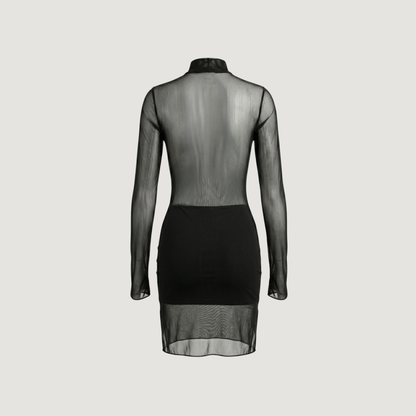 Mesh Dress with Spandex Fit..